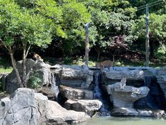 -宁波野生动物园