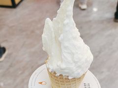 -野人先生现做冰淇淋(西安赛格店)