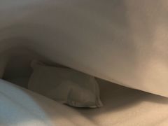 -蜜蜂小象·榴莲千层蛋糕(时代汇11栋店)