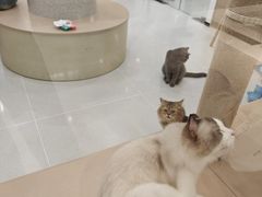 -上海来福士广场
