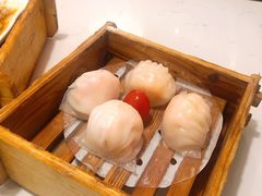 悦满楼虾饺皇-悦满楼·西关名点·湛江名菜(航空综合大厦店)
