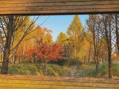 -柳鹭田园区