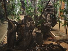 -荔城生鲜盛宴(番禺旗舰店)