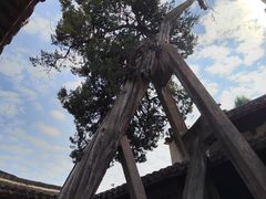 -太平天国侍王府