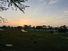 -春花秋色城市公园