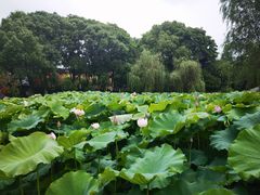 -丝绸小镇荻港古村