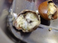 糖炒栗子-满谷宝栗(奥林匹克店)