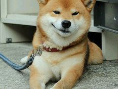 -水月·和牛工坊(水晶郦城店)