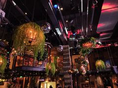 -香榭里音乐酒吧(丰美店)