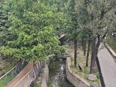 -白水寺森林公园