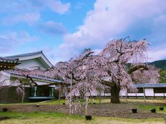 -醍醐寺