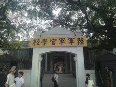 -长洲岛