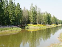 -黄海国家森林公园