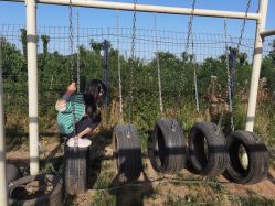 -浅山蜜塘奇妙乐园·亲子营地