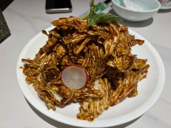 -新侨小馆(东直门北小街店)