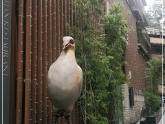 -琬苑鸽庄·川粤融合菜(解放碑总店)