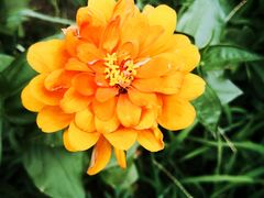 -天津东丽湖风景区