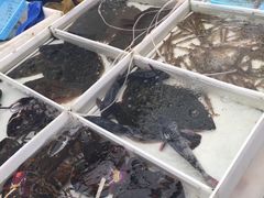 -毕家疃综合市场