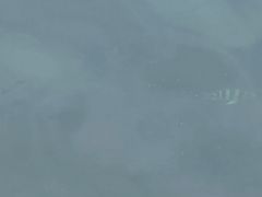 -亚龙湾海底世界
