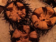 -斯普汇生蚝牛排馆(中骏世界城店)