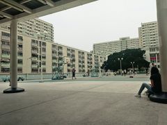 -彩虹村