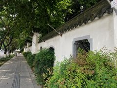 -神仙树公园