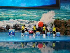 -多彩贵州城极地海洋世界