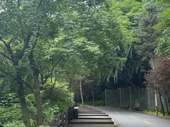 -陕西省红河谷森林公园