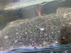 -雅逸居海鲜小厨