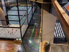-运动派(北京店)