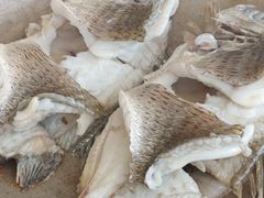-菉雅苑·湛江菜(前海卓越INTOWN店)