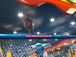 -胜利乐园(胜利购物广场店)