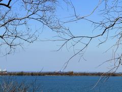-江滩湿地公园