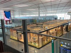 -首都机场t3-c国航两舱休息室