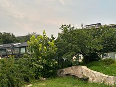 -北马山庄植趣咖啡