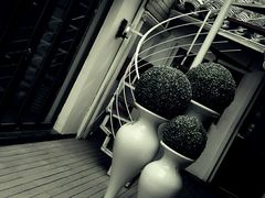 -EATALIA意塔利意式餐厅(鼓楼店)