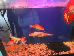 -尚逸男士理发馆·专注男发