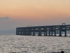 -星海湾跨海大桥