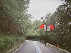 -杭州半山国家森林公园