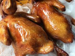 红烧乳鸽-石岐乳鸽村(桥观坊南四巷店)