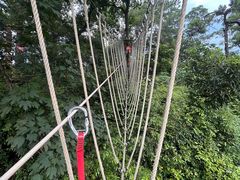 -芦仙山景区-飞越丛林探险乐园