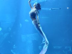 -太平洋海底世界