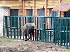 -哈尔滨北方森林动物园