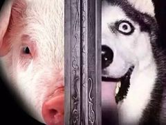 -华联影城(蒙城路店)