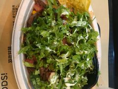 -油梨树 AVOCADO TREE(亮马桥店)
