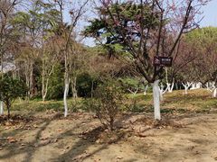 -东湖听涛景区