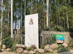 -桉树林A coffee 森林餐厅(三圣乡店)