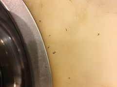 -袁记串串香(新南门店)