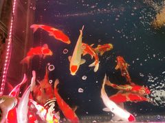 -三旗百汇商品城