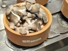 -龍歌自助小火锅(李沧丽达店)